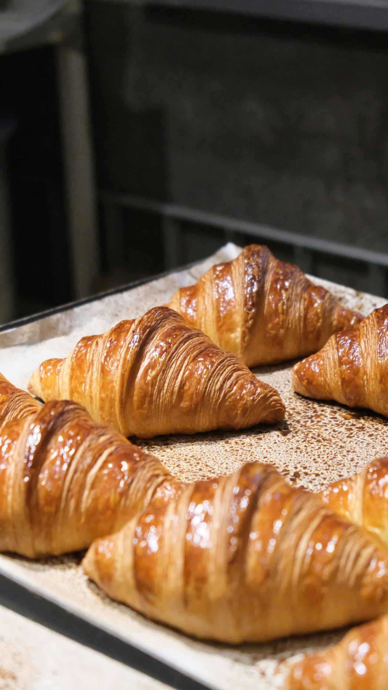 Croissants tout juste sortis du four, sur la plaque